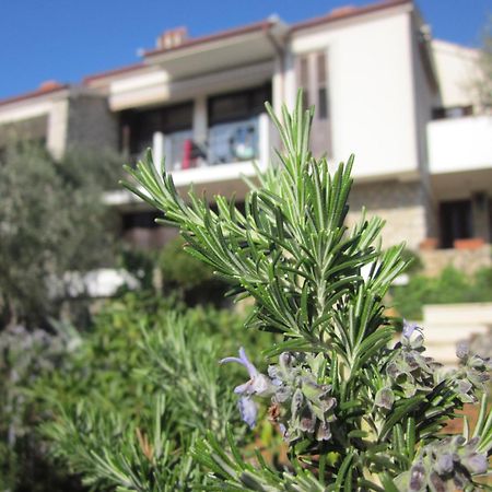 Apartments Palma & Pino Cres Kültér fotó