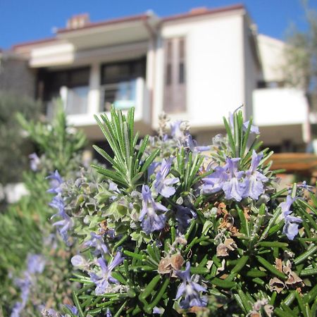 Apartments Palma & Pino Cres Kültér fotó